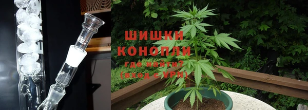 PSILOCYBIN Володарск
