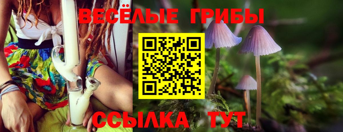 Галлюциногенные грибы мицелий Гагарин