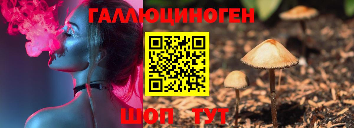 купить   Вход с VPN  Галлюциногенные грибы прущие грибы  Гагарин  Псилоцибиновые грибы прущие грибы 